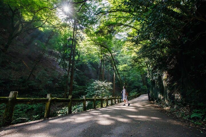 Osaka Minoh Waterfall Nature Walk and Local Craft Beer Tasting — photo 19