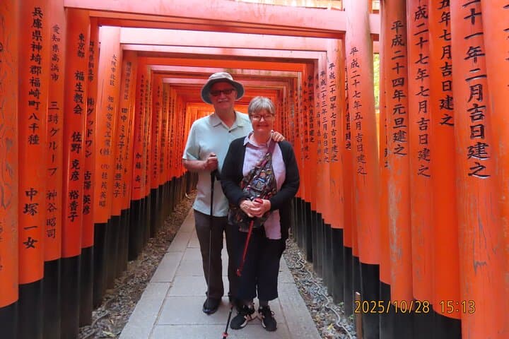 Kyoto Private Tour with National Licensed Guide from Osaka — photo 14