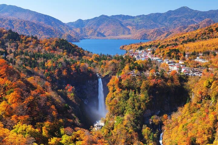 From Tokyo: Full Day Private Tour to Nikko — photo 3
