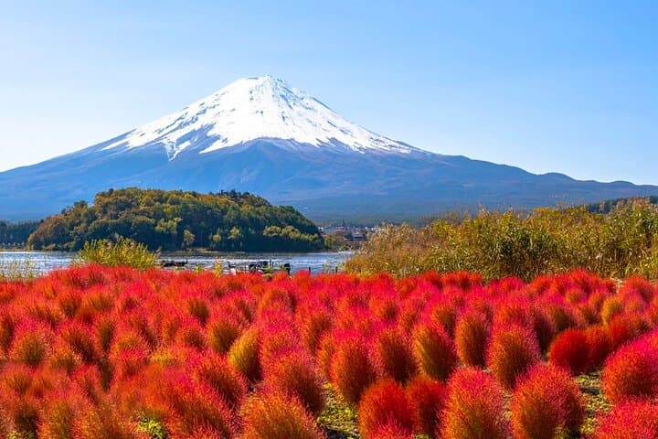 Mt Fuji Arakurayama and Kawaguchiko Scenic Day Tour — photo 2