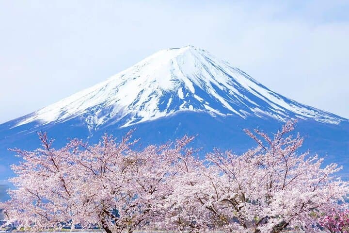 Mt Fuji Arakurayama and Kawaguchiko Scenic Day Tour — photo 7