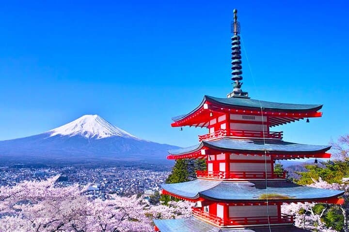 Mt Fuji Arakurayama and Kawaguchiko Scenic Day Tour — photo 9