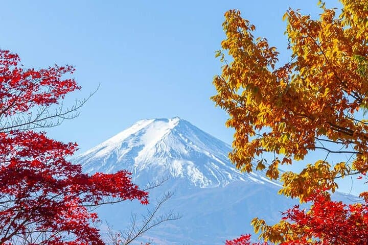 Mt Fuji Arakurayama and Kawaguchiko Scenic Day Tour — photo 10