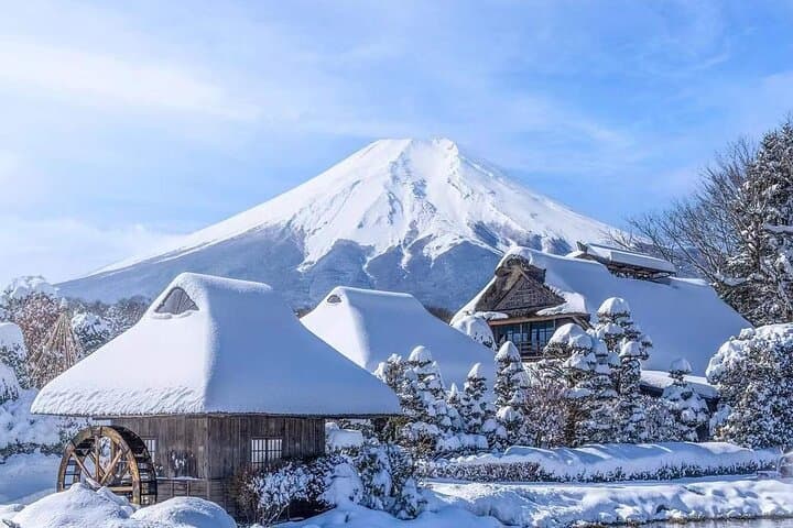 Mt Fuji Arakurayama and Kawaguchiko Scenic Day Tour — photo 1