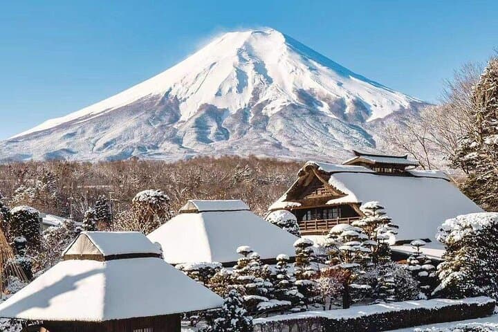 Mt Fuji Arakurayama and Kawaguchiko Scenic Day Tour — photo 11