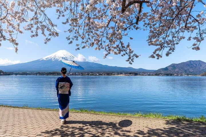 Mt Fuji Arakurayama and Kawaguchiko Scenic Day Tour — photo 14