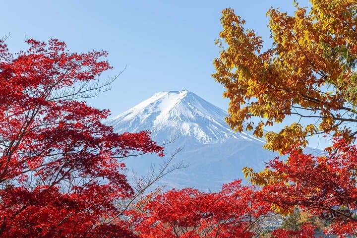 Mt Fuji Arakurayama and Kawaguchiko Scenic Day Tour — photo 16