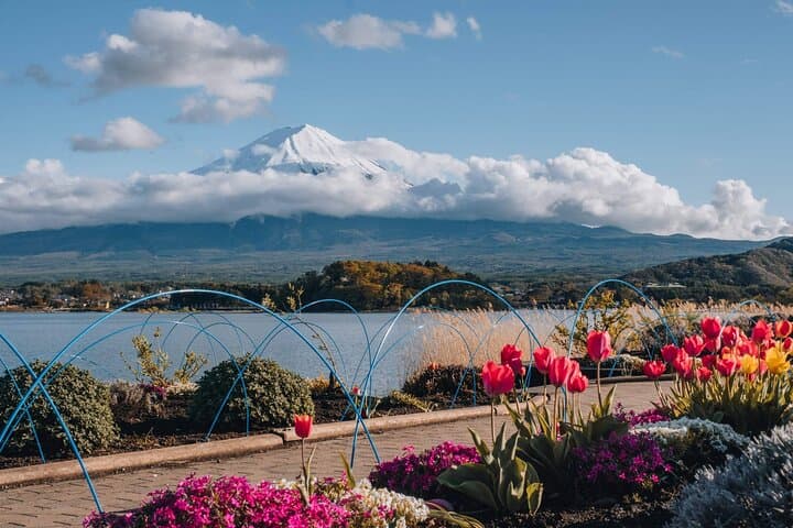 Mt Fuji Arakurayama and Kawaguchiko Scenic Day Tour — photo 17