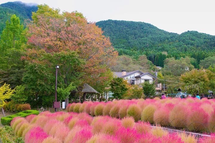 Mt Fuji Arakurayama and Kawaguchiko Scenic Day Tour — photo 18