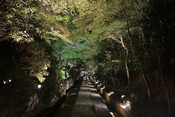 Kyoto Gion Night Walking Tour with a Local Guide (French/English) — photo 3