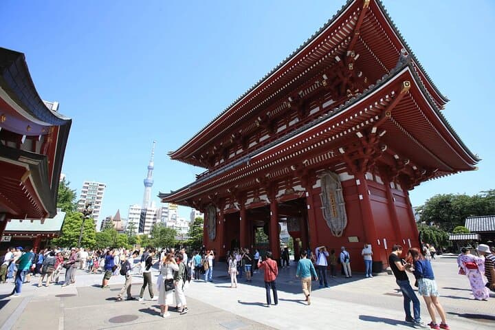 Tokyo Private Car Tour with English Driver–Fully Customizable — photo 3