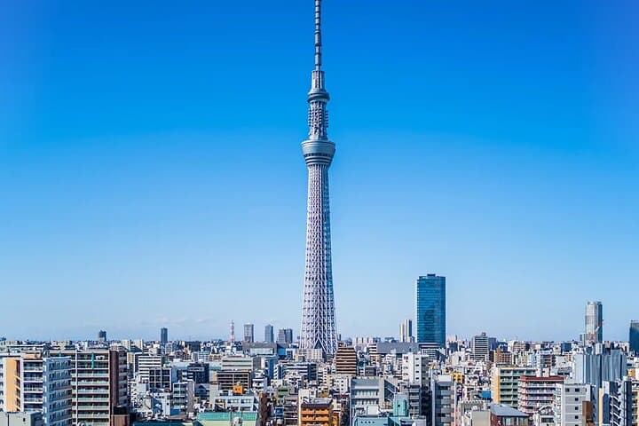 Tokyo Private Car Tour with English Driver–Fully Customizable