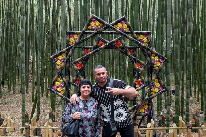 Kyoto Arashiyama Bamboo, Temple, Monkey or Local Mountain Brewery — photo 3
