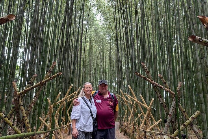 Kyoto Arashiyama Bamboo, Temple, Monkey or Local Mountain Brewery — photo 9