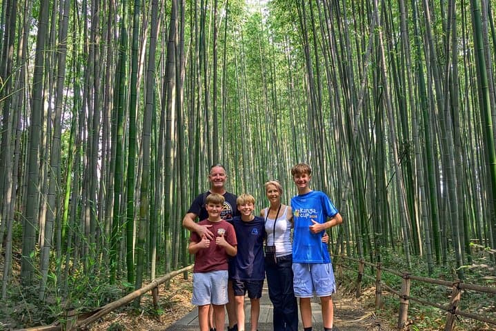 Kyoto Arashiyama Bamboo, Temple, Monkey or Local Mountain Brewery — photo 2