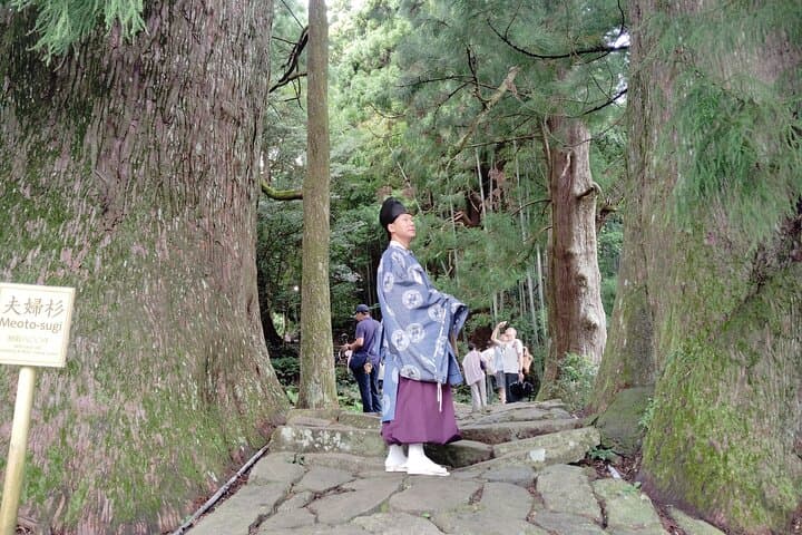 Wakayama: Kumano Kodo Sacred Walk to Nachi’s Sacred Sites — photo 8