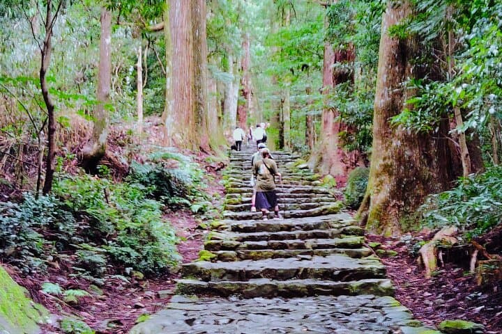 Wakayama: Kumano Kodo Sacred Walk to Nachi’s Sacred Sites