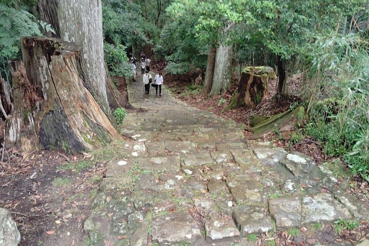 Wakayama: Kumano Kodo Sacred Walk to Nachi’s Sacred Sites — photo 7