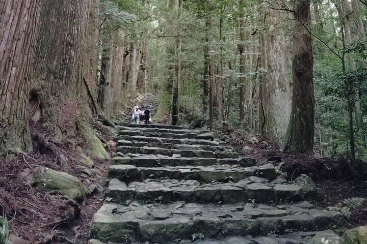 Wakayama: Kumano Kodo Sacred Walk to Nachi in Heian Attire — photo 8