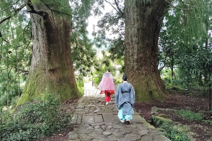 Wakayama: Kumano Kodo Sacred Walk to Nachi’s Sacred Sites — photo 10
