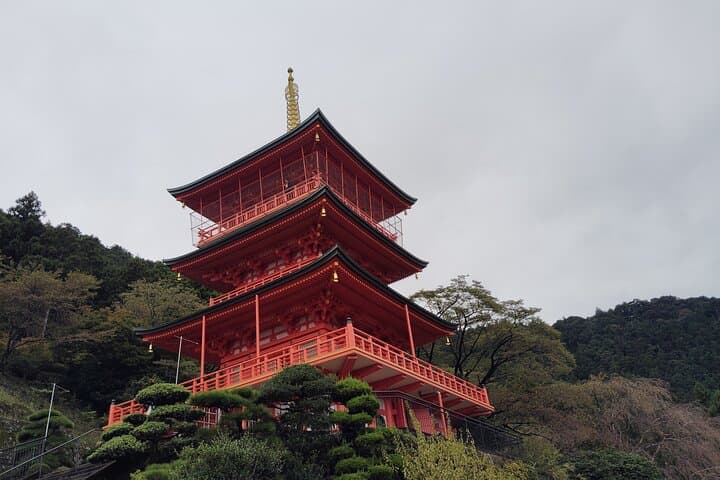 Wakayama: Kumano Kodo Sacred Walk to Nachi’s Sacred Sites — photo 16