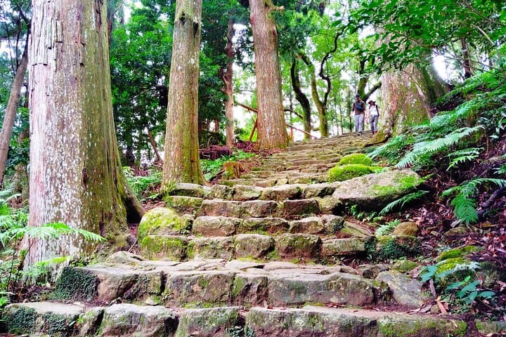 Wakayama: Kumano Kodo Sacred Walk to Nachi’s Sacred Sites — photo 6