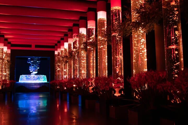 Art Aquarium Museum Ginza Admission Ticket — photo 4