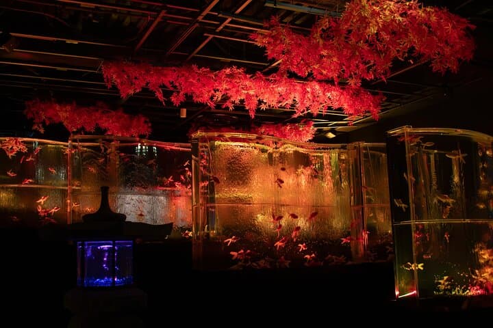 Art Aquarium Museum Ginza Admission Ticket — photo 6