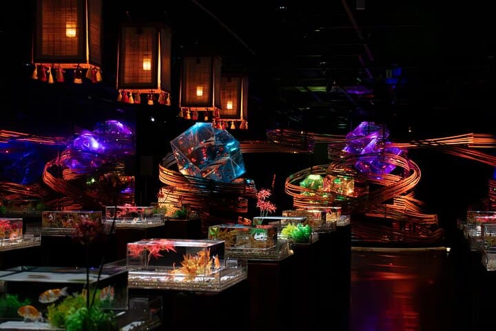 Art Aquarium Museum Ginza Admission Ticket — photo 8