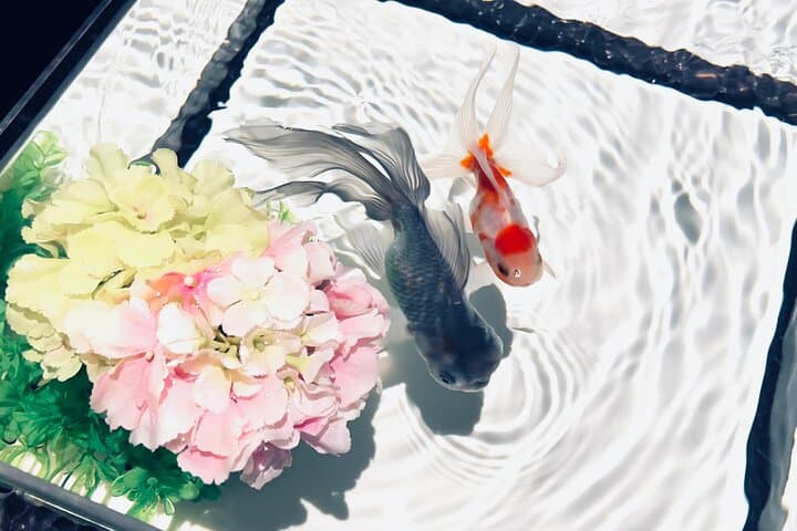 Art Aquarium Museum Ginza Admission Ticket — photo 9