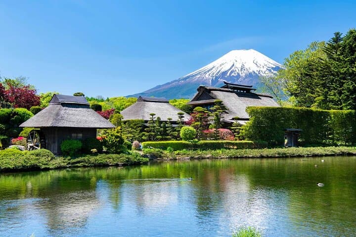 Mt. Fuji Private Day Trip from Tokyo with English-Speaking Driver — photo 12