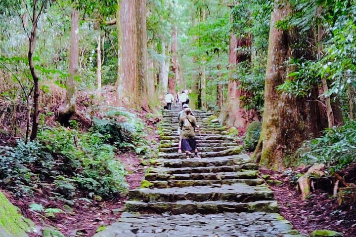 Wakayama: Kumano Kodo Sacred Walk to Nachi in Heian Attire — photo 2