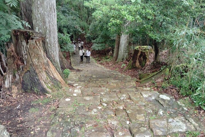 Wakayama: Kumano Kodo Sacred Walk to Nachi in Heian Attire — photo 10