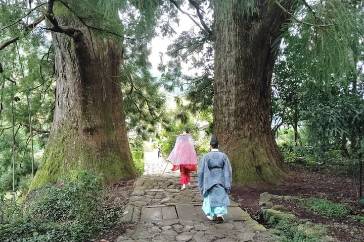 Wakayama: Kumano Kodo Sacred Walk to Nachi in Heian Attire — photo 5
