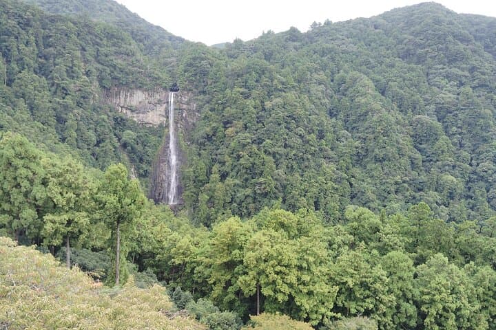 Wakayama: Kumano Kodo Sacred Walk to Nachi in Heian Attire — photo 15