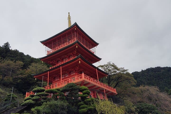 Wakayama: Kumano Kodo Sacred Walk to Nachi in Heian Attire — photo 16
