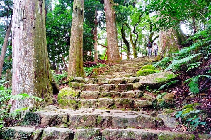 Wakayama: Kumano Kodo Sacred Walk to Nachi in Heian Attire — photo 17
