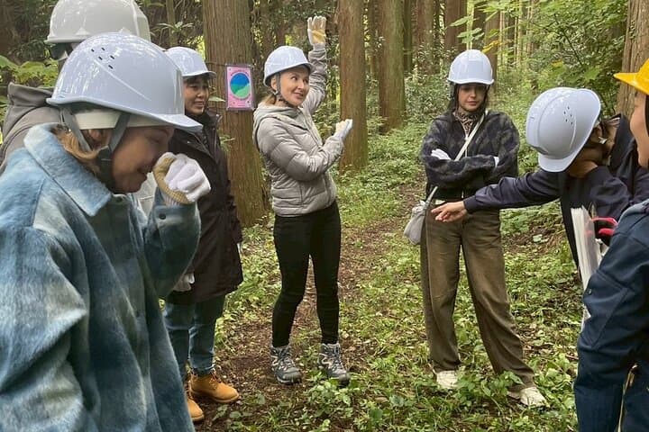 Trees & Tradition: The Living Forest Behind Japanese Architecture — photo 16