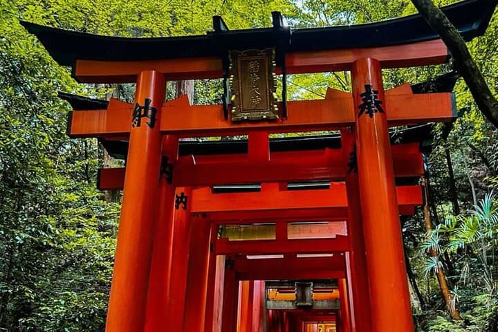Private Kyoto Nara Private Tour from Osaka — photo 4