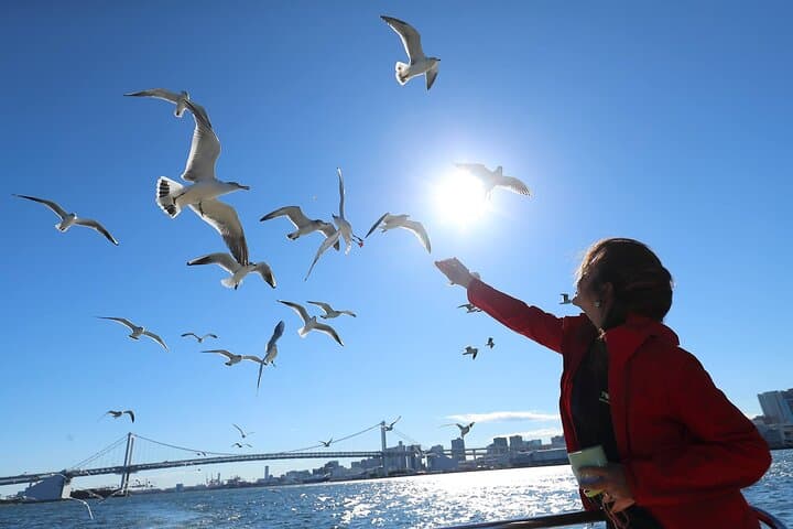 Tokyo: Scenic Bay Cruise with Local Guide on Private Boat — photo 4