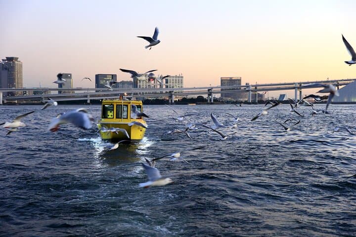 Tokyo: Scenic Bay Cruise with Local Guide on Private Boat — photo 6