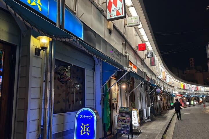 Explore Yokohama on Private Walking Tour — photo 2