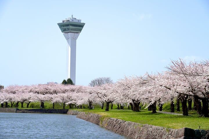 Private Shore Tour: Hakodate Highlights & Mount Hakodate — photo 2