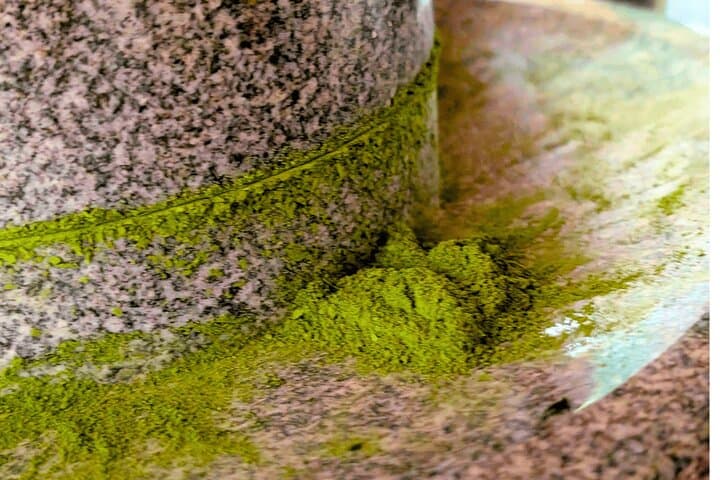 Nishio Matcha Story｜Tea Ceremony & Matcha Kaiseki Journey — photo 2