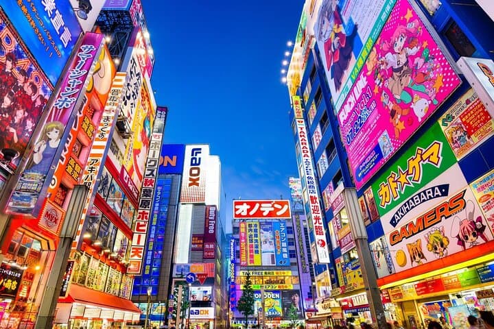 Tokyo Private Tour with English Speaking Driver Customizable — photo 2
