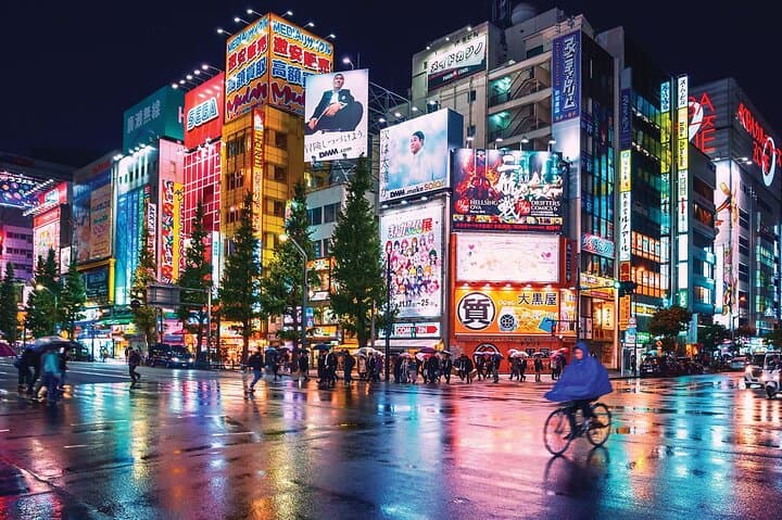 Tokyo Private Tour with English Speaking Driver Customizable — photo 3