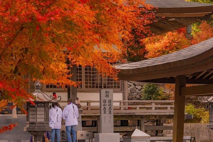 Kagawa Stunning Scenery Photogenic Journey with a Private Car — photo 5