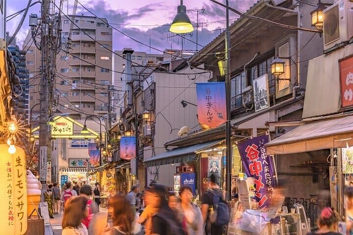 Yanaka and Nezu Walking Tour Discover the Edo Spirit — photo 3