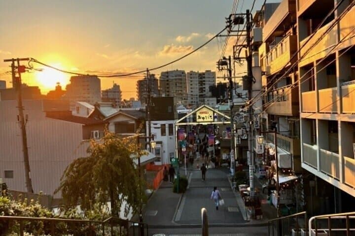 Yanaka and Nezu Walking Tour Discover the Edo Spirit — photo 9