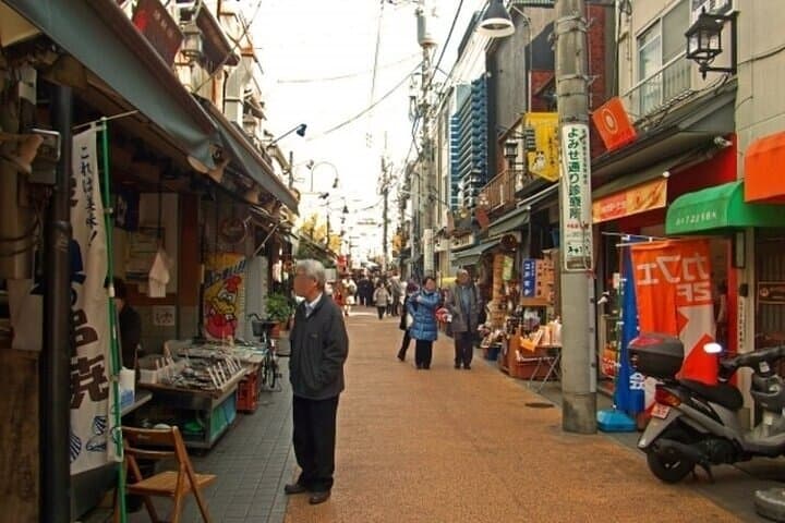 Yanaka and Nezu Walking Tour Discover the Edo Spirit — photo 10